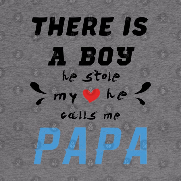 Papa Gifts Shirts from Grandson, he Stole My Heart by CareTees